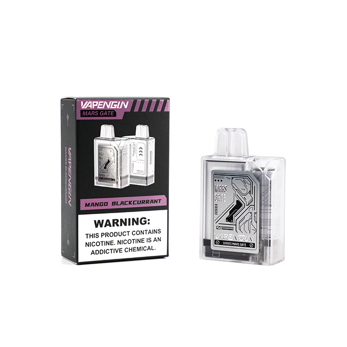 Vapengin Mars Gate 4000 Puffs Rechargable Disposable Kit