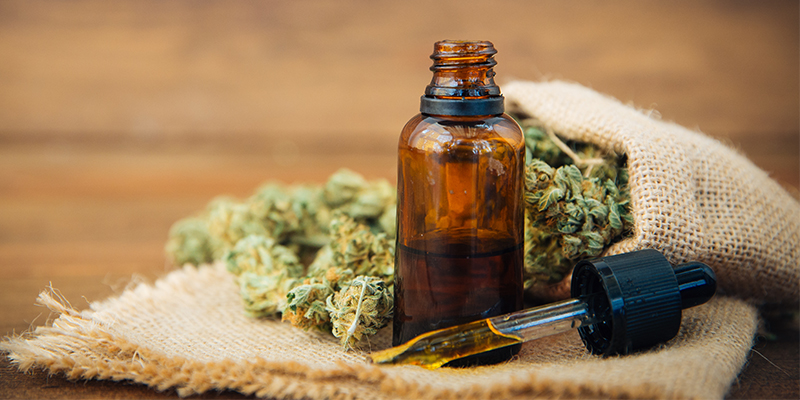 Does CBD Oil or Marijuana Cause Damage to Your Brain?