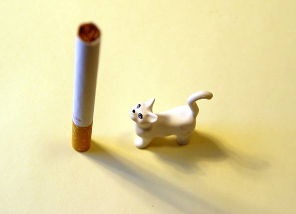 How Smoking Harms Pet Health | The Dangers of Second Hand Smoke for Pets | petMD